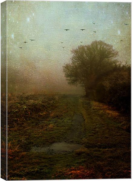 What lies ahead Canvas Print by Dawn Cox