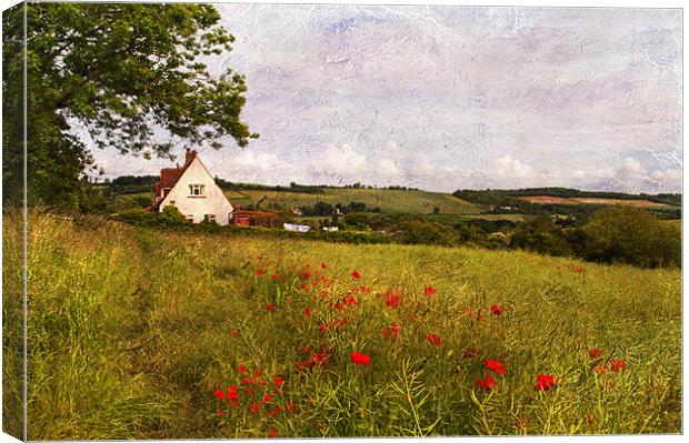 Rural Kent Canvas Print by Dawn Cox