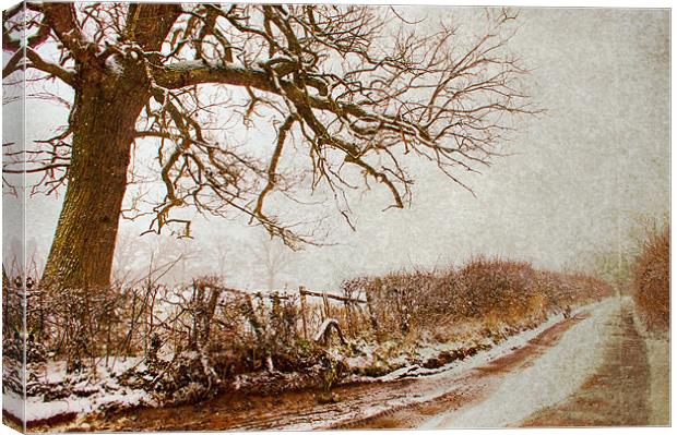 snowy kent country lane Canvas Print by Dawn Cox