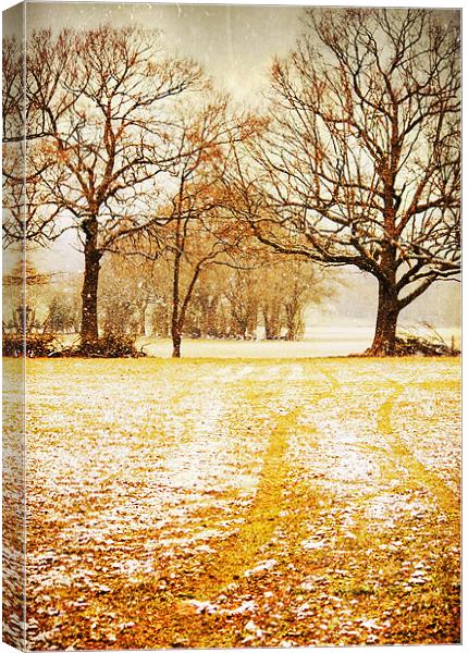 Light snow flurries across the field Canvas Print by Dawn Cox