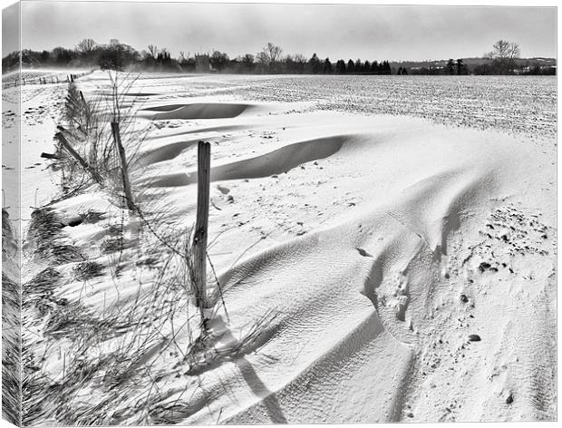 Snow drifts, snow landscape Canvas Print by Dawn Cox