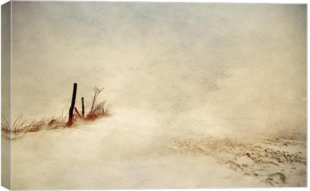 Visibility poor Canvas Print by Dawn Cox