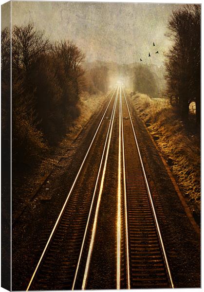The Long Way Home Canvas Print by Dawn Cox