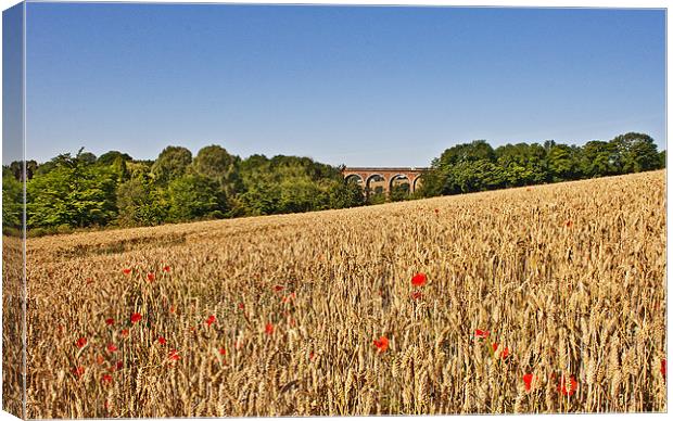 Wheat field with a view Canvas Print by Dawn Cox