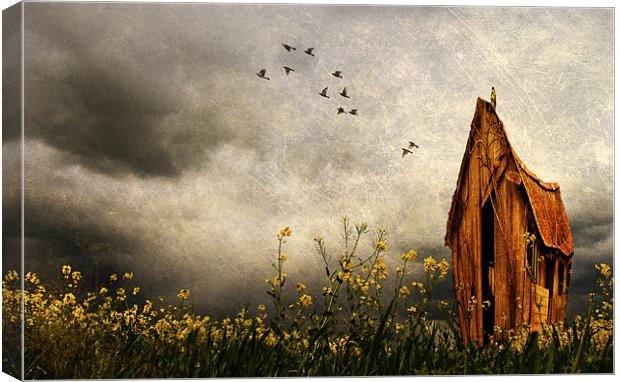 The Crooked House Canvas Print by Dawn Cox