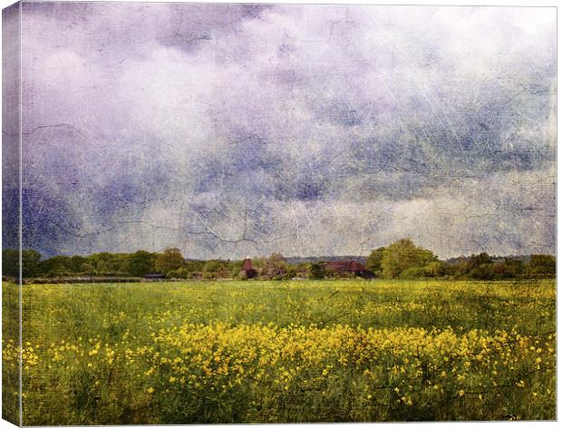 Over the Fields Canvas Print by Dawn Cox