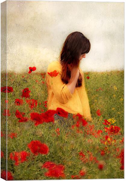 Woman in poppy field Canvas Print by Dawn Cox