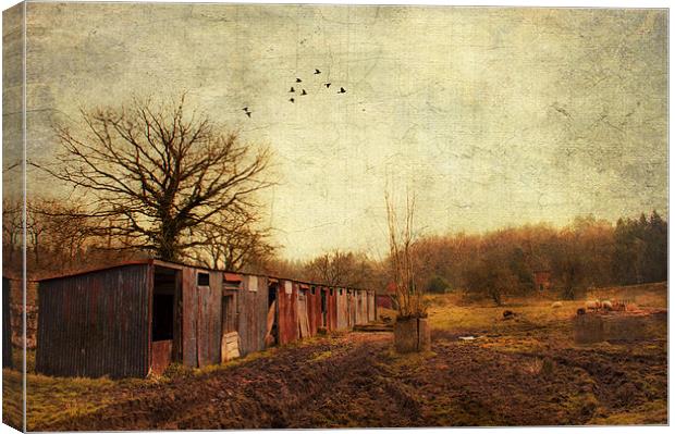 Memories of past times Canvas Print by Dawn Cox