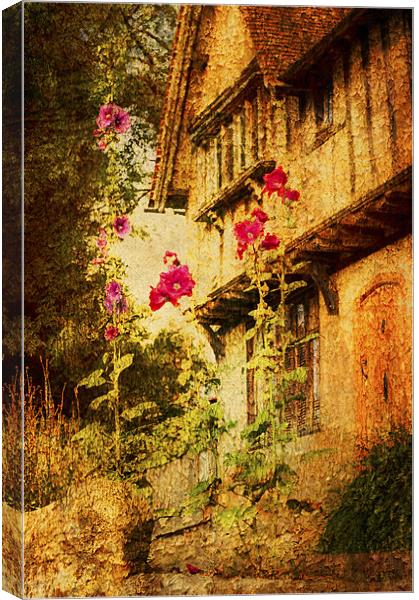 Hollyhock cottage Canvas Print by Dawn Cox