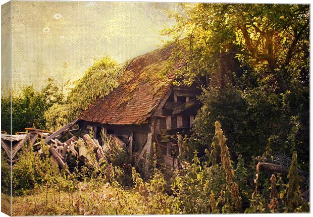 Enchanted Cottage Canvas Print by Dawn Cox
