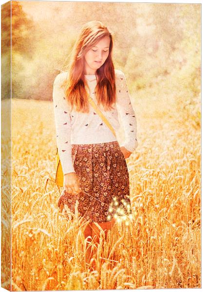 golden field Canvas Print by Dawn Cox