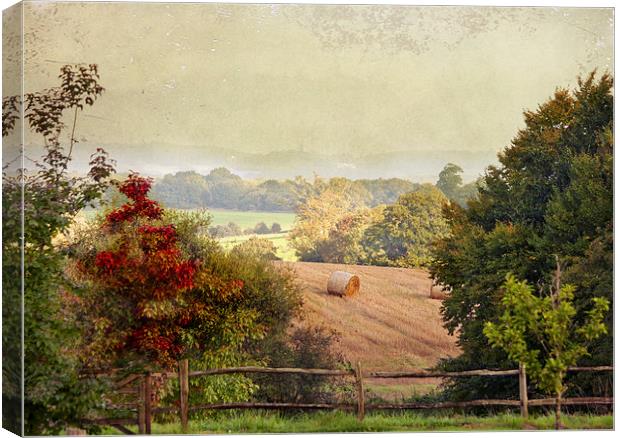 October Fields Canvas Print by Dawn Cox