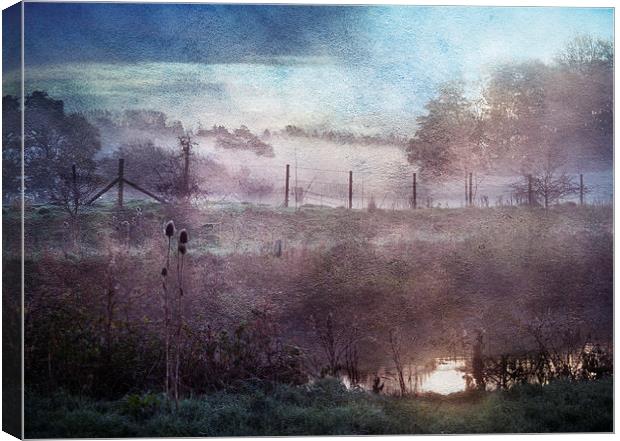 Rising Mist Canvas Print by Dawn Cox