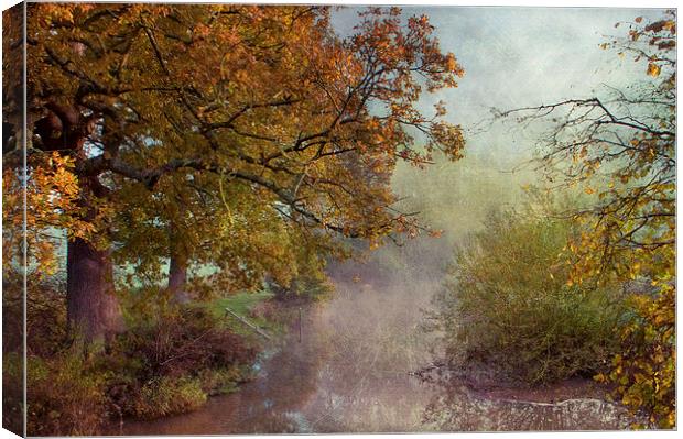 Autumn at Chiddingstone Canvas Print by Dawn Cox