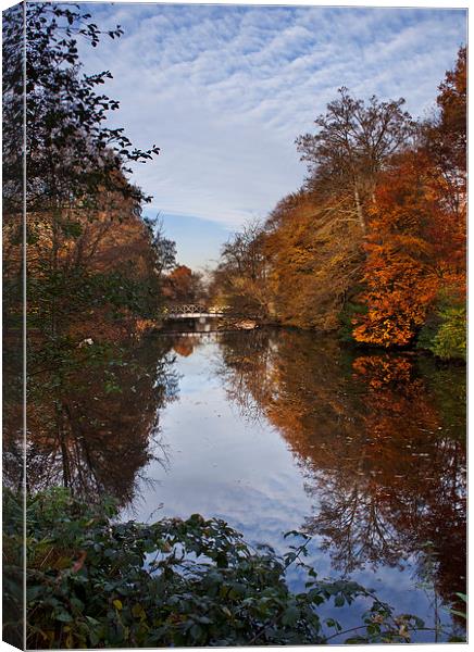 Autumn Reflections Canvas Print by Dawn Cox