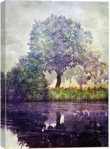 Reflection Canvas Print by Dawn Cox