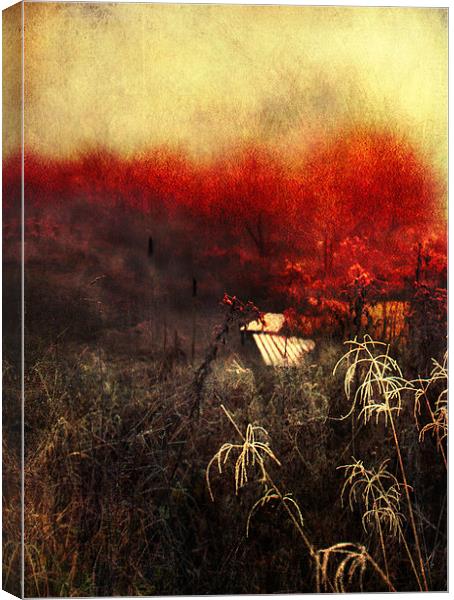 Remaining Embers of Autumn Canvas Print by Dawn Cox
