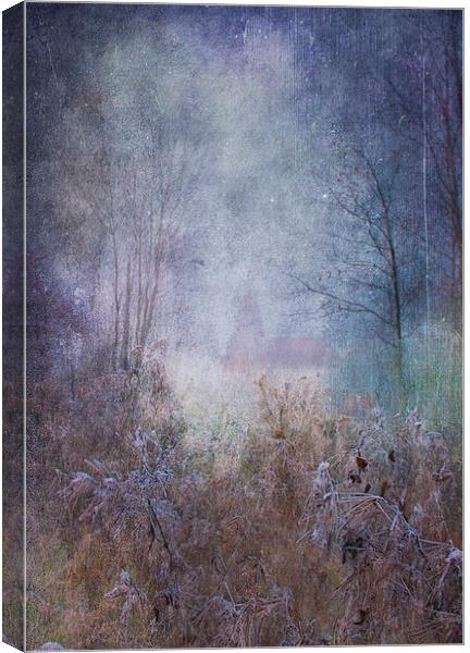 Fairy Glade Canvas Print by Dawn Cox