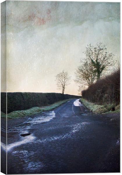 The Road Home Canvas Print by Dawn Cox