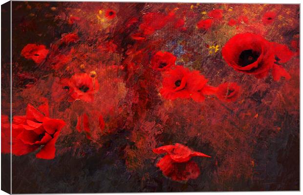 A Chaos of Poppies Canvas Print by Dawn Cox