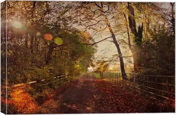  Autumn Leaves Canvas Print by Dawn Cox