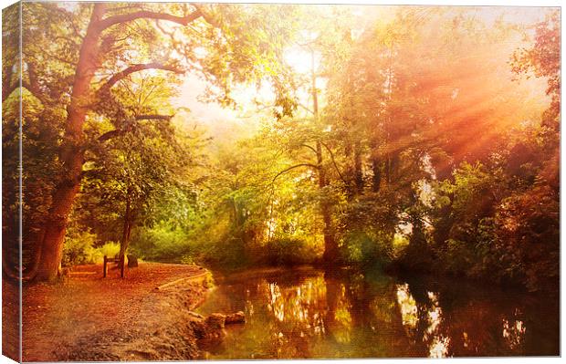  Lullingstone country park Canvas Print by Dawn Cox