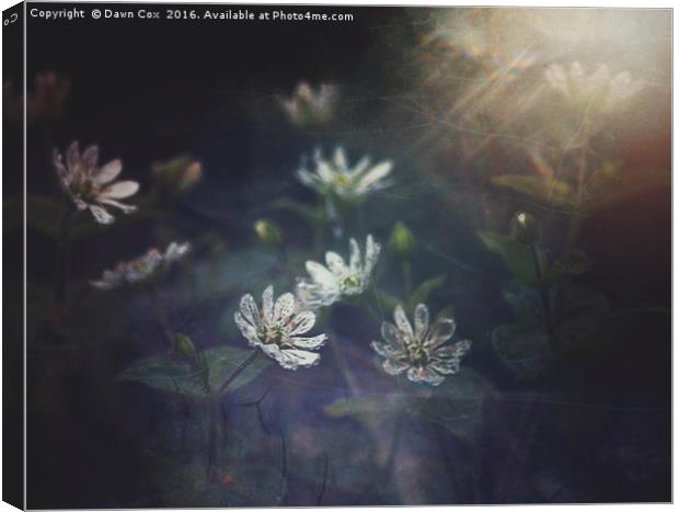 Woodland Flowers Canvas Print by Dawn Cox