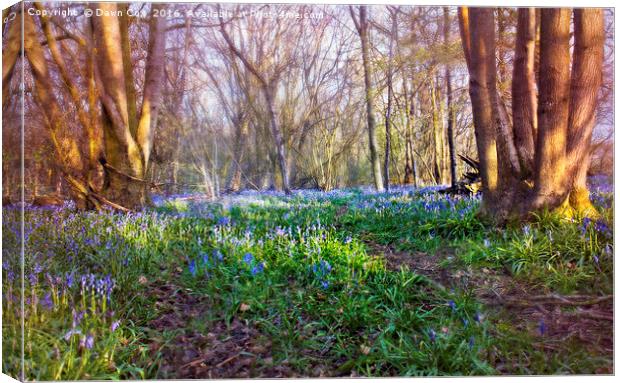 Beautiful Bluebells  Canvas Print by Dawn Cox