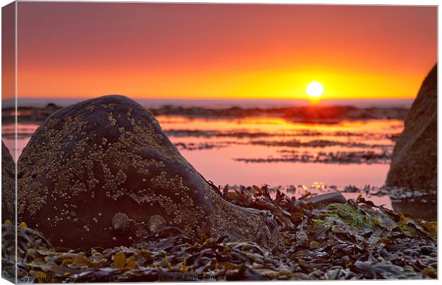 Rocks and Weed at Sunset Canvas Print by Izzy Standbridge