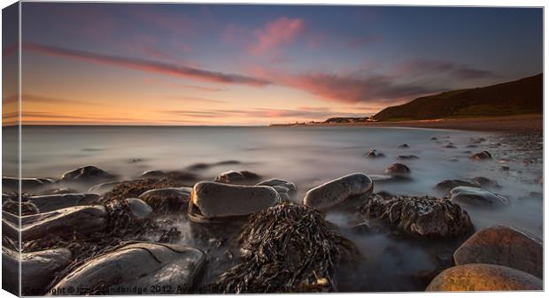 On the rocks Canvas Print by Izzy Standbridge