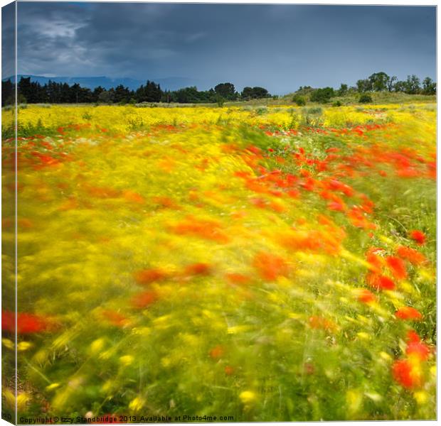 Wild flower meadow long exposure Canvas Print by Izzy Standbridge