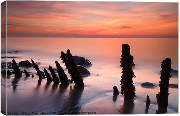 Posts at sunset Canvas Print by Izzy Standbridge