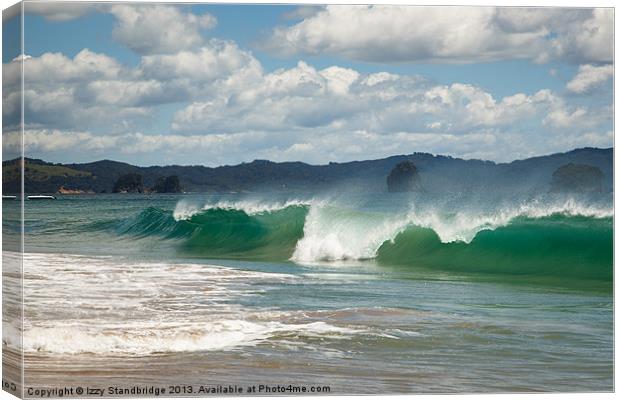 Hahei beach, North Island, New Zealand Canvas Print by Izzy Standbridge