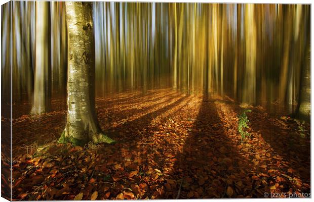 Autumn beech blur Canvas Print by Izzy Standbridge