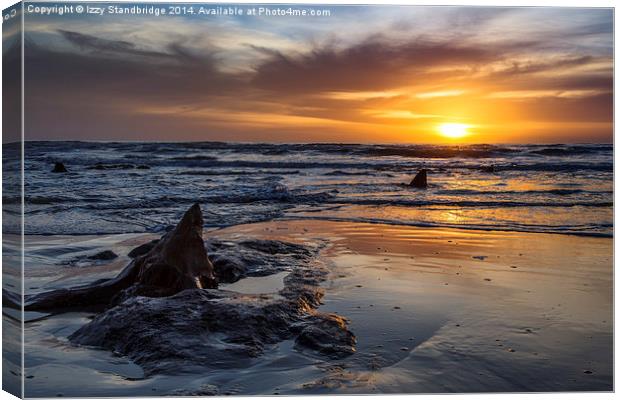 Sunken forest, Borth sunset Canvas Print by Izzy Standbridge