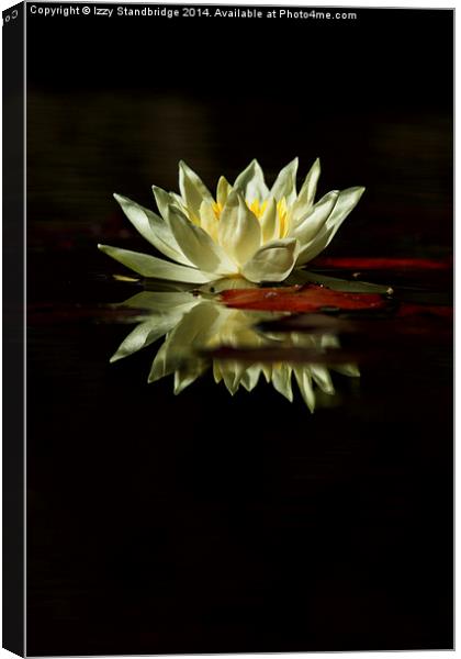 Waterlily and reflection Canvas Print by Izzy Standbridge
