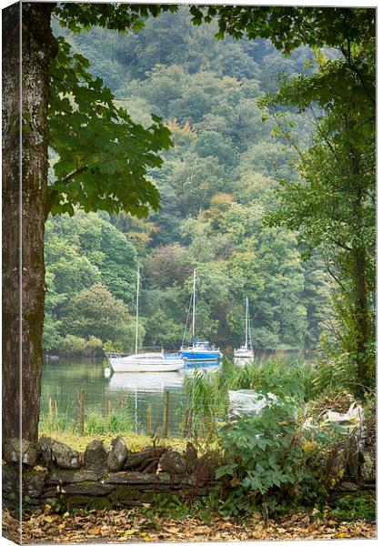  Through the trees Canvas Print by richard downes