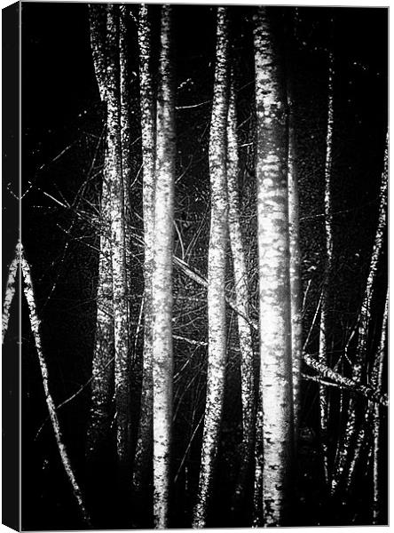 black, white and silver Canvas Print by richard downes