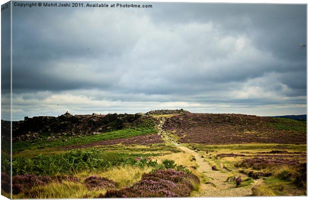 Burbage Valley Canvas Print by Mohit Joshi