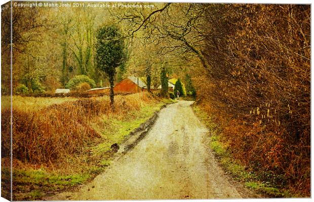 Colourful Path Canvas Print by Mohit Joshi