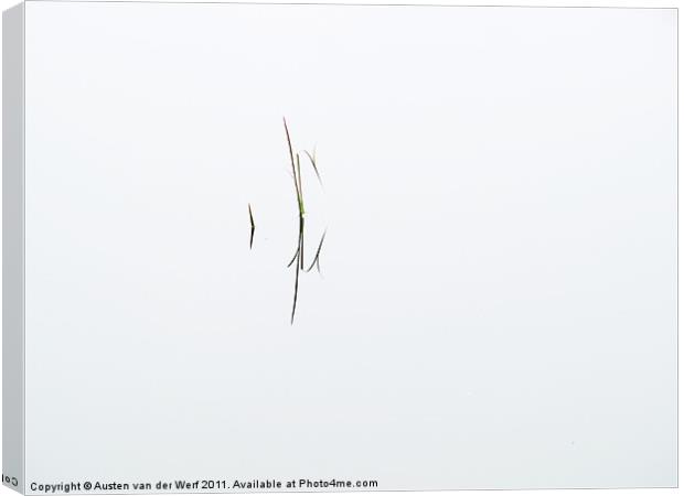 Reeds in pond 3 Canvas Print by Austen van der Werf