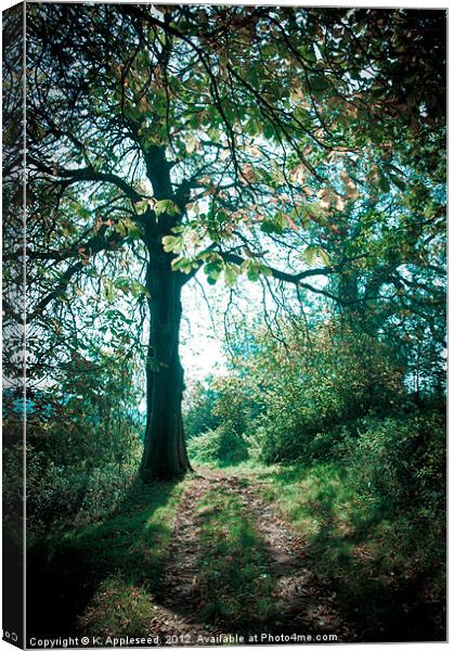 Horse Chestnut tree in Sunlight & Shadow Canvas Print by K. Appleseed.
