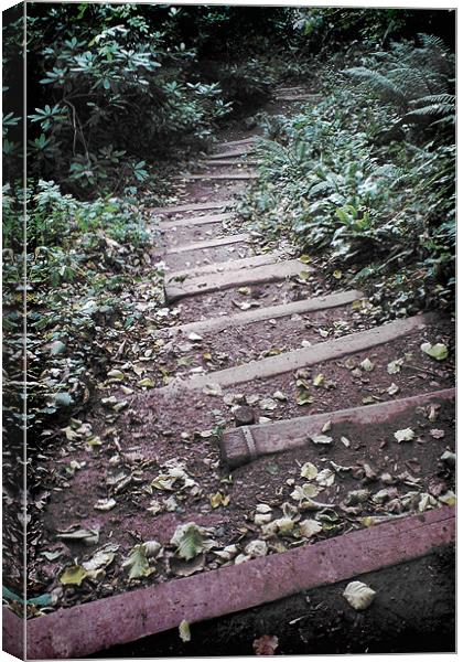 Up Down Steps, Cockington Country Park Torquay Canvas Print by K. Appleseed.