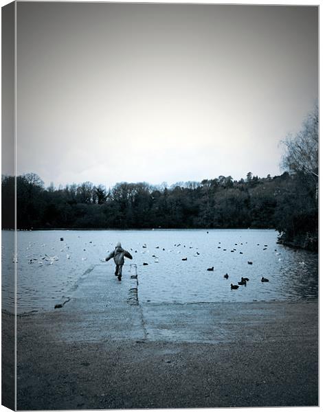 Take off,  Decoy Park Lake. Canvas Print by K. Appleseed.
