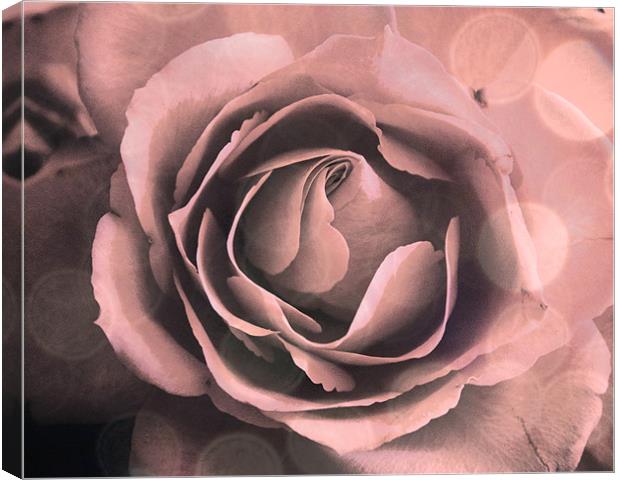 Pink Rose Abstract Canvas Print by K. Appleseed.