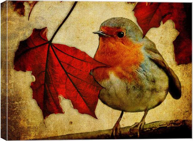 Robin and Red Leaves, Christmas... Canvas Print by K. Appleseed.