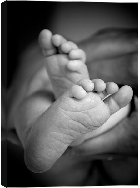Baby feet. Canvas Print by K. Appleseed.