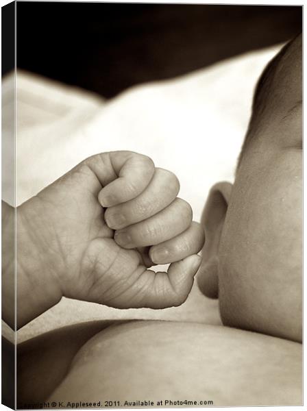 A newborn baby's hand. Canvas Print by K. Appleseed.