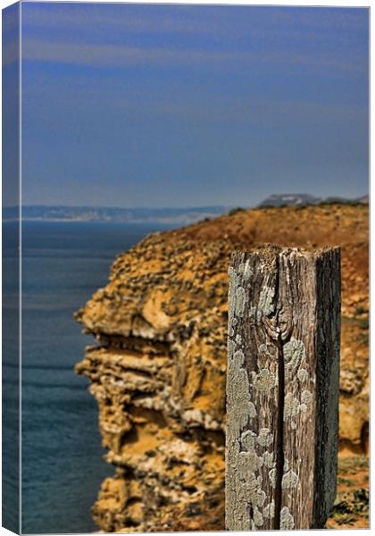 Cliff Path, West Bay, Dorset Canvas Print by Phil Hall
