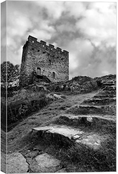 Dolwyddelan Castle Canvas Print by Tony Bates